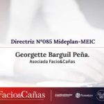 Directriz Nº085 Mideplan-MEIC