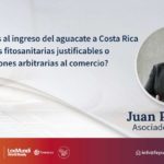 Las restricciones al ingreso del aguacate a Costa Rica ¿Medidas fitosanitarias justificables o restricciones arbitrarias al comercio?