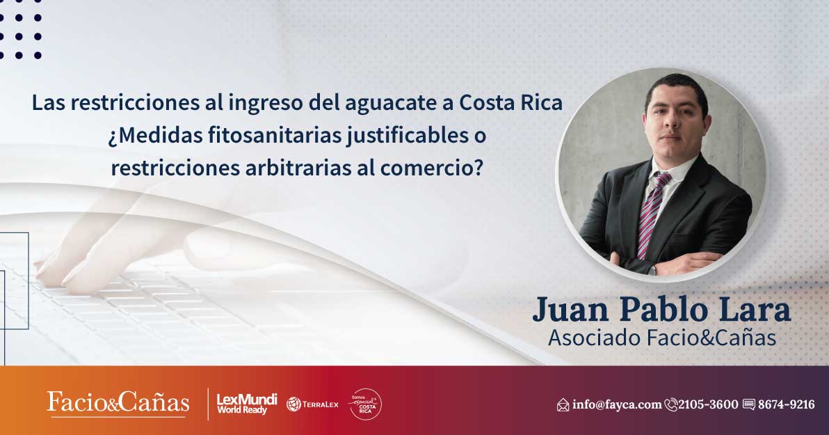 Las restricciones al ingreso del aguacate a Costa Rica ¿Medidas fitosanitarias justificables o restricciones arbitrarias al comercio?